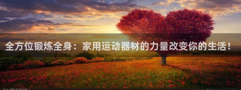 好博体育官网下载平台注册流程图:全方位锻炼全身:家用运动器材