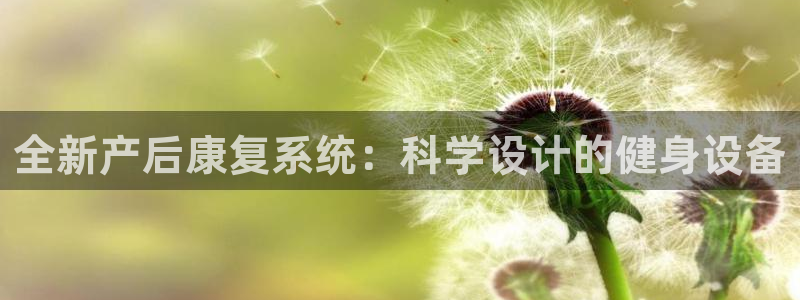 海南好博体育官网下载:全新产后康复系统:科学设计的健身设备