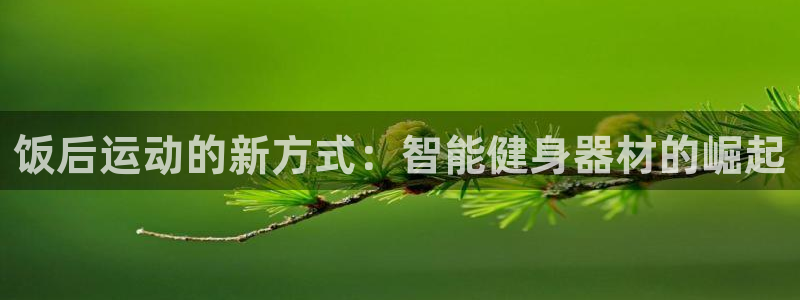 海南好博体育官网下载:饭后运动的新方式:智能健身器材的崛起