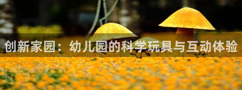 好博体育官网下载招商电话是多少啊:创新家园:幼儿园的科学玩具